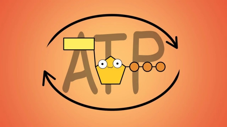 ATP快速熒光檢測(cè)儀是一種高效、準(zhǔn)確、易操作的設(shè)備